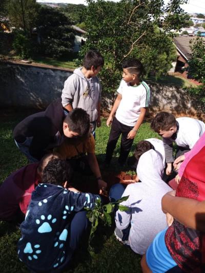 UFFS e Escola Agua Verde realizam plantio de árvores através projeto Ponto De Cultura